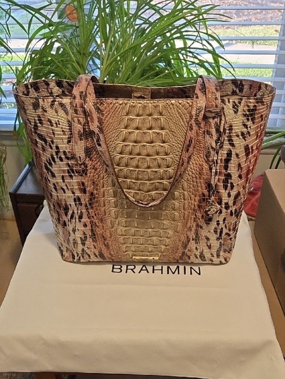 Brahmin Brooke Tote In PROWL Melboune Leather With Attachable Pouch EUC - Picture 7 of 16